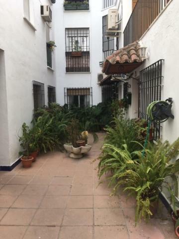 El Rincon De La Juderia Apartment Кордоба Екстериор снимка
